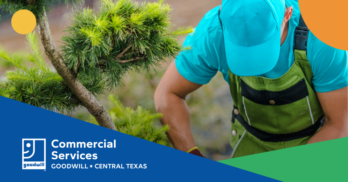 How Rainy Weather in Central Texas Can Disrupt Commercial Landscaping
