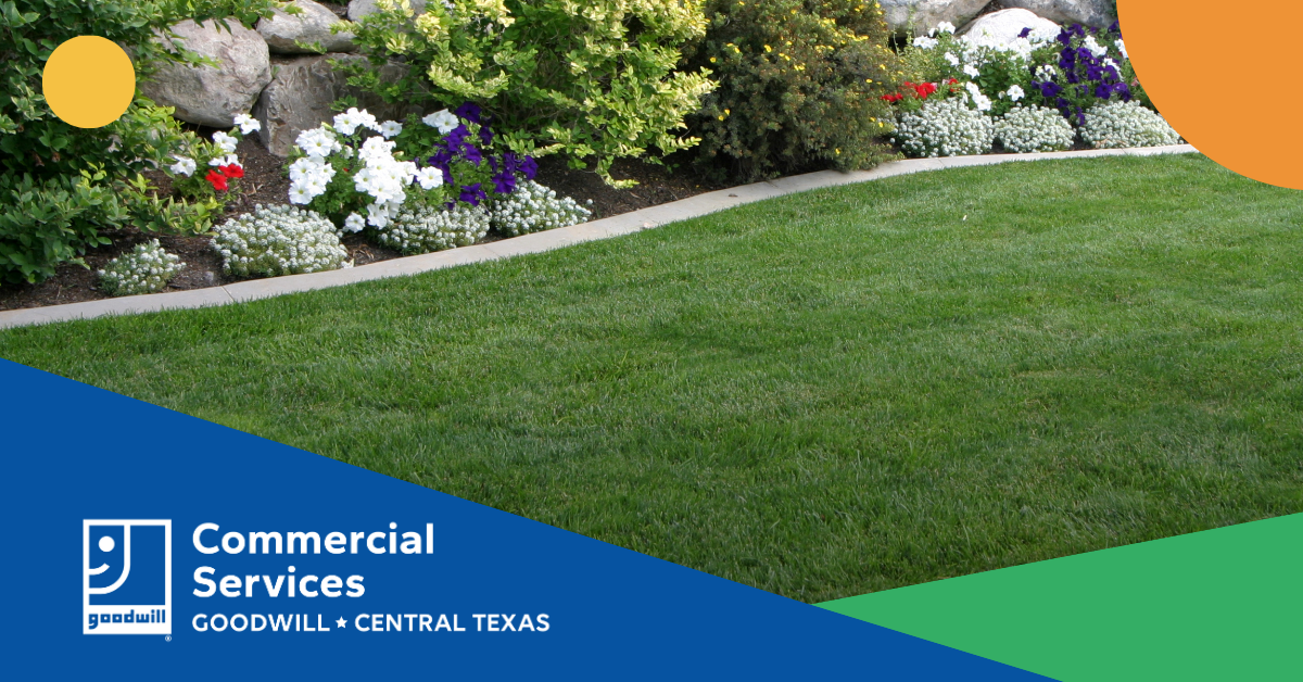 The Commercial Landscaping Problems That Cost Properties the Most