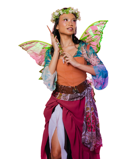 Fairy costume from the 2026 Goodwill shoot