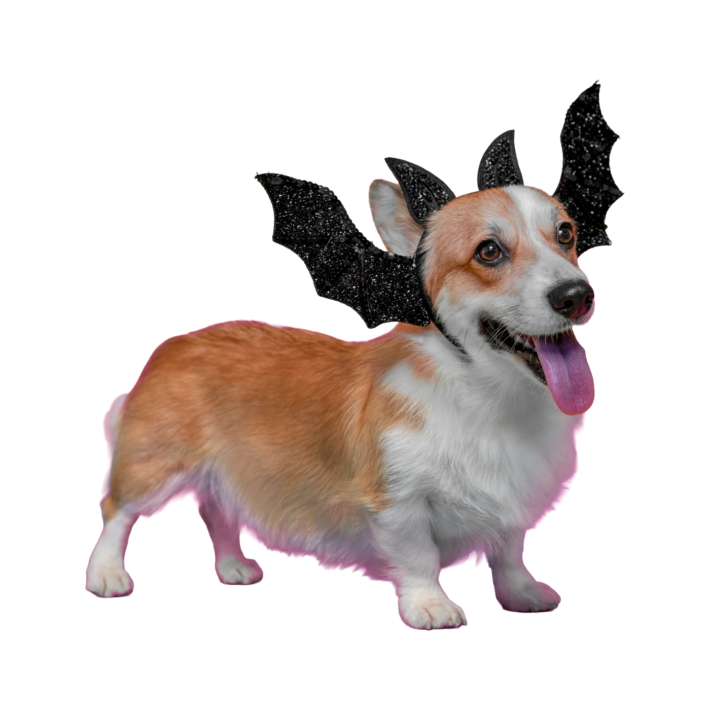 Count Dogula costume