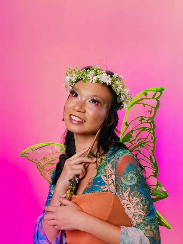 Fairies costume, photo 1